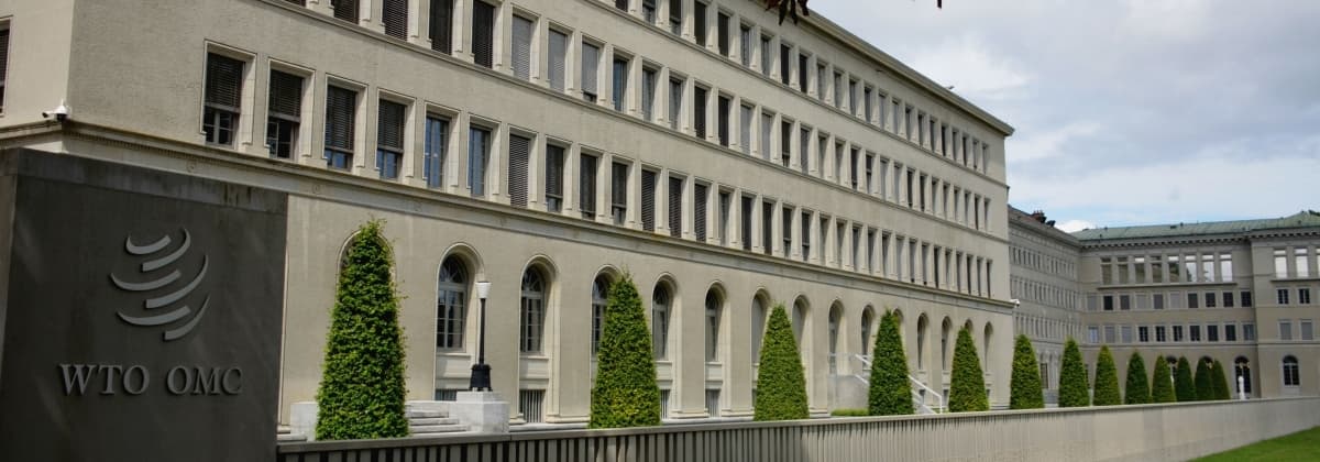 MC12: the ingredients to make it a success