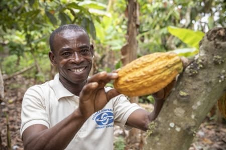 Commitment and action to deliver on the EU forest protection objective