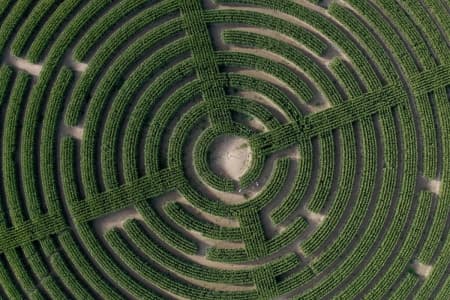 Valuing resources to achieve climate neutrality