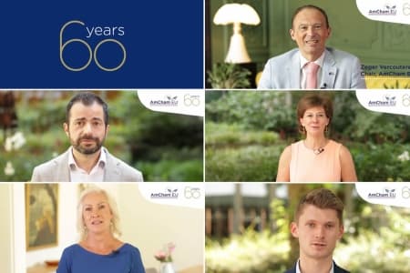 What does AmCham EU mean to you? 