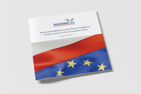 Recommendations to the Polish Presidency of the Council of the European Union