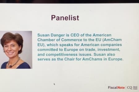 Susan Danger, CEO, AmCham EU speaks at webinar on the EU and Global Outlook on COVID-19
