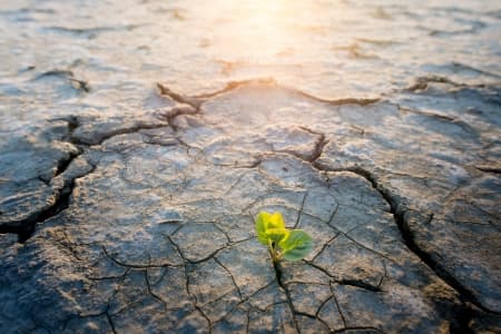 An Earth Day to remember: EU and US leaders step up climate ambition