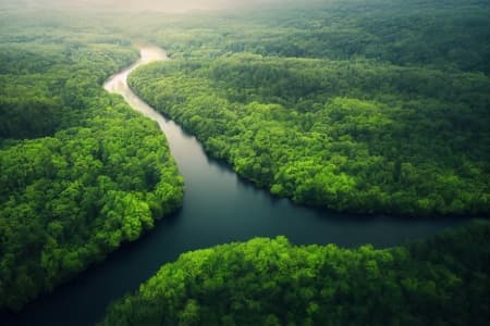 Balancing environmental goals and global fairness in trade