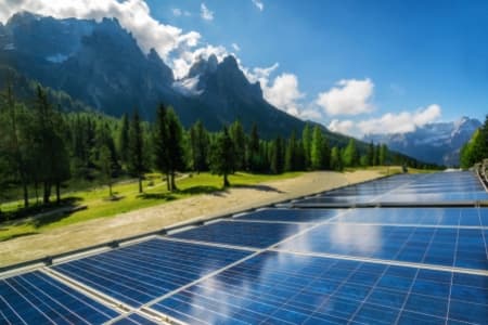 The journey to net zero