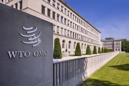 Dr Ngozi Okonjo-Iweala’s appointment makes history at WTO